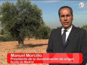 Descubre el Sabor Auténtico: Los mejores aceites de Madrid