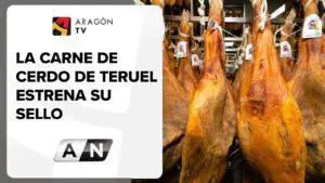 Cerdo de Teruel: gastronomía y sabor de la región