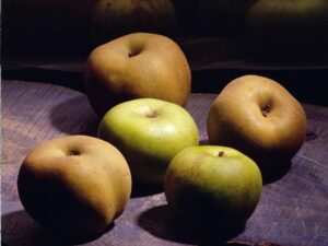 Manzana Reineta del Bierzo: una fruta exquisita