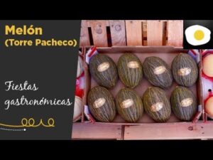 Melón de Torre Pacheco-Murcia: exquisitez y sabor
