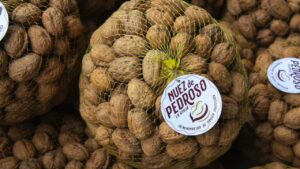 Nuez de Pedroso: Guía informativa de este preciado fruto seco