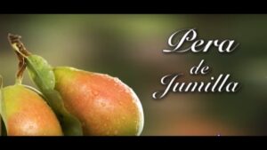 Pera de Jumilla: Sabor y propiedades nutricionales